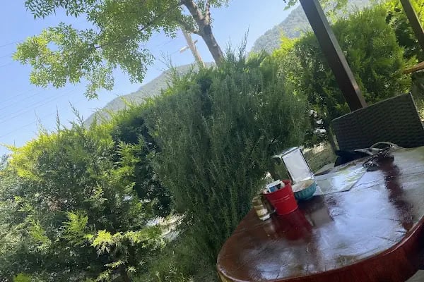 Veli Baba Kahvaltı, Gözleme, Bal ve Apiterapi Dogal Ürünler - Resim 14
