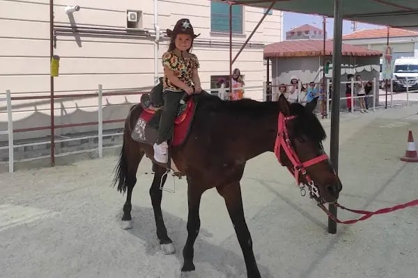 Harikalar Diyarı Neslihan Kreş ve Gündüz Bakımevi - Resim 4