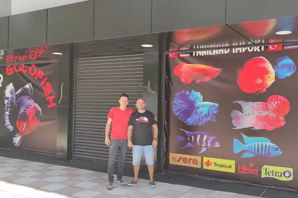 ALP GOLDFİSH PetShop Av Kamp Akvaryum Dünyası - Resim 20