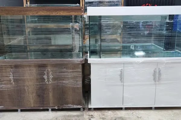 ALP GOLDFİSH PetShop Av Kamp Akvaryum Dünyası - Resim 15