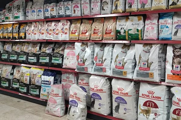 ALP GOLDFİSH PetShop Av Kamp Akvaryum Dünyası - Resim 6