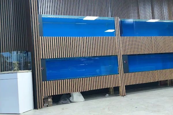 ALP GOLDFİSH PetShop Av Kamp Akvaryum Dünyası - Resim 12
