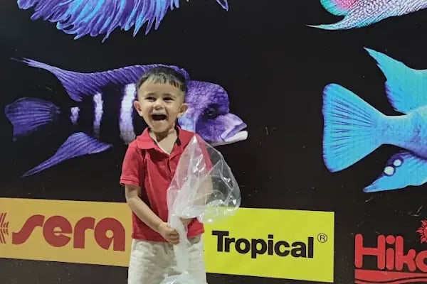 ALP GOLDFİSH PetShop Av Kamp Akvaryum Dünyası - Resim 4