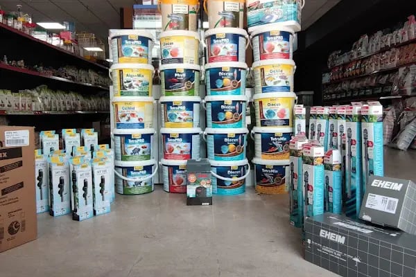 ALP GOLDFİSH PetShop Av Kamp Akvaryum Dünyası - Resim 9