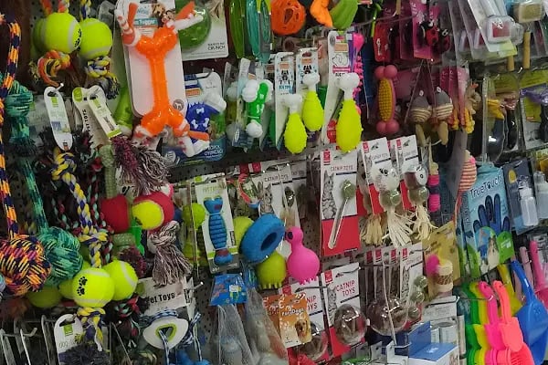 BALGAT PETSHOP ALO MAMA - Resim 12