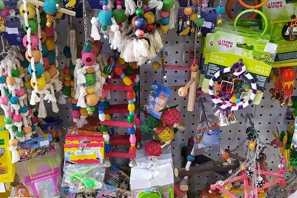 BALGAT PETSHOP ALO MAMA - Resim 15