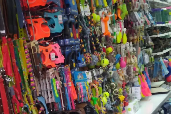 BALGAT PETSHOP ALO MAMA - Resim 9