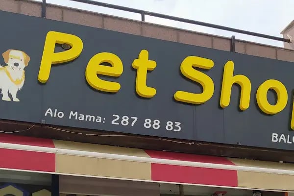 BALGAT PETSHOP ALO MAMA - Resim 2
