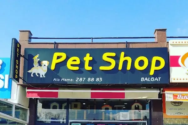 BALGAT PETSHOP ALO MAMA - Resim 1