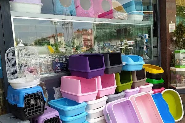 BALGAT PETSHOP ALO MAMA - Resim 17