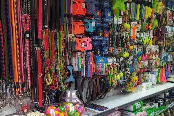 BALGAT PETSHOP ALO MAMA - Resim 3