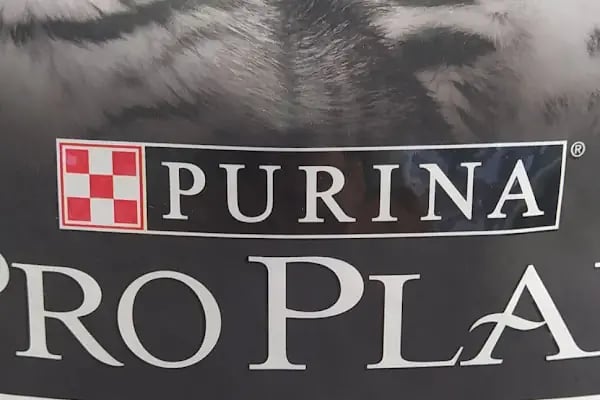 BALGAT PETSHOP ALO MAMA - Resim 4