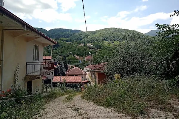 Hayriye köyü şelalesi - Resim 8