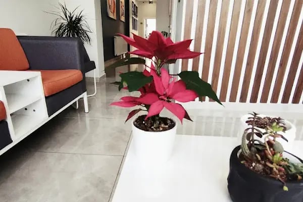 ARTDENT KLİNİK AĞIZ VE DİŞ SAĞLIĞI POLİKLİNİĞİ - Resim 18