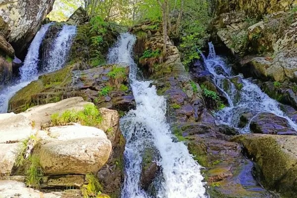 Mas Kaz Dağı Kamping - Resim 18
