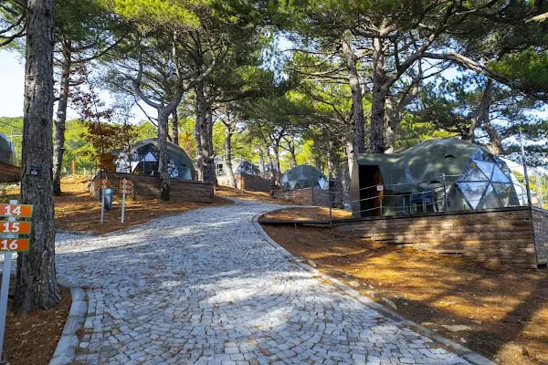 Mas Kaz Dağı Kamping - Resim 17