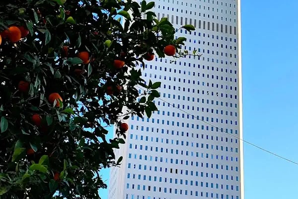 Ziraat Bankası Metropol/Mersin Şubesi - Resim 2