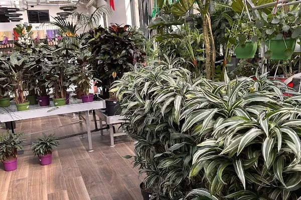 Bahçe Market Ataşehir - Resim 11