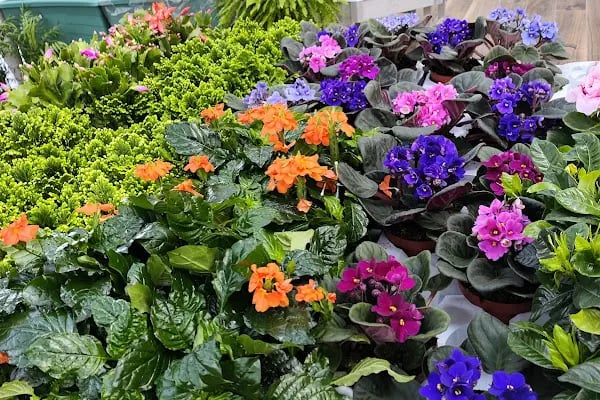 Bahçe Market Ataşehir - Resim 15