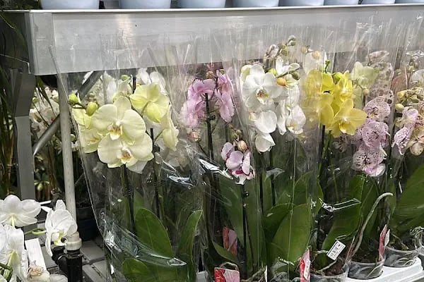Bahçe Market Ataşehir - Resim 14