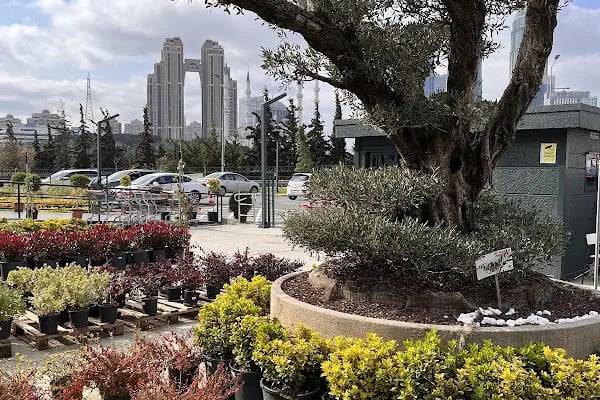 Bahçe Market Ataşehir - Resim 6