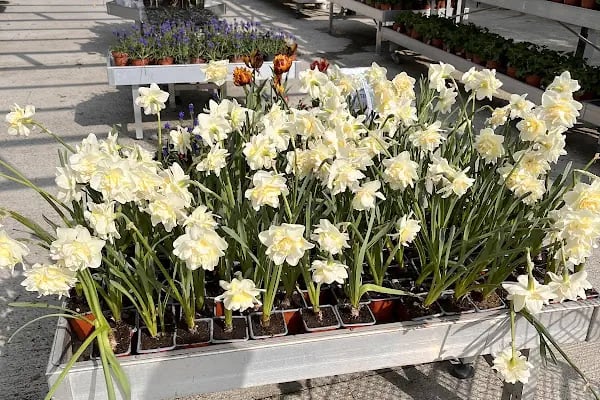 Bahçe Market Ataşehir - Resim 12