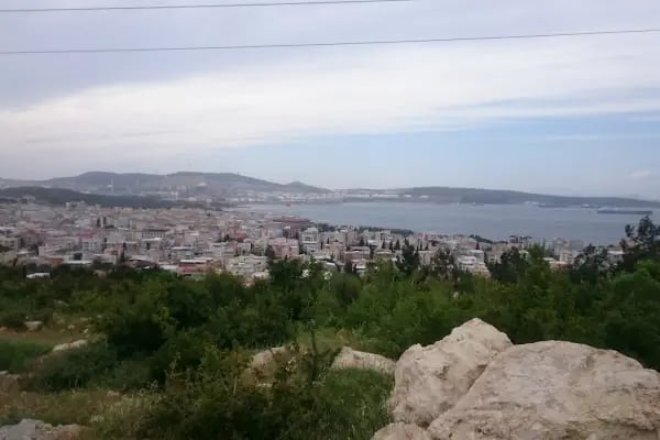 Aliağa Trafik Hatıra Ormanı - Resim 11