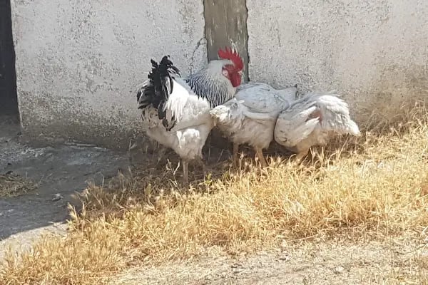 Aliağa Trafik Hatıra Ormanı - Resim 14