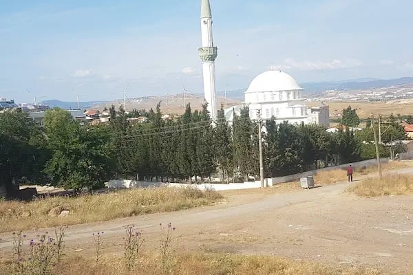 Aliağa Trafik Hatıra Ormanı - Resim 4