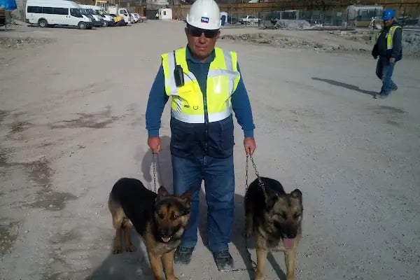 Fazıl Ahmet Paşa Çocuk Parkı - Resim 20