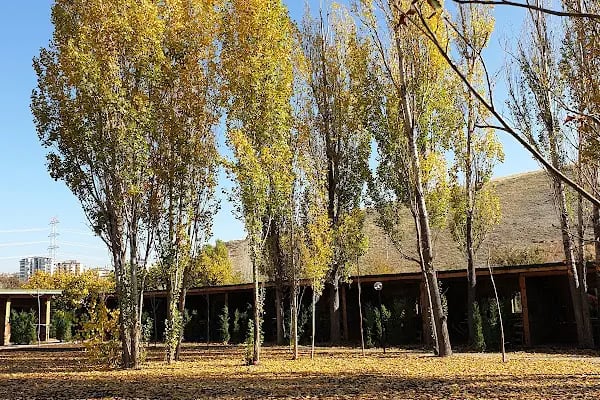 Doğa Park Piknik Alanı - Resim 13
