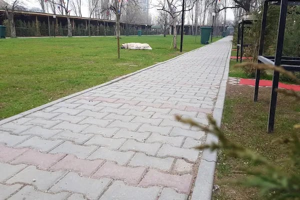 Doğa Park Piknik Alanı - Resim 11