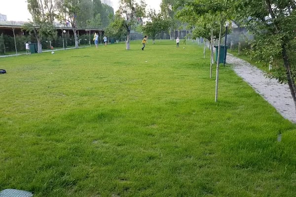Doğa Park Piknik Alanı - Resim 20