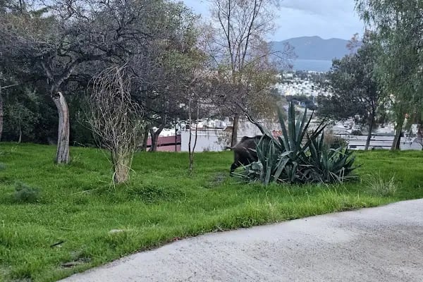 Kale Konut Sitesi - Resim 17