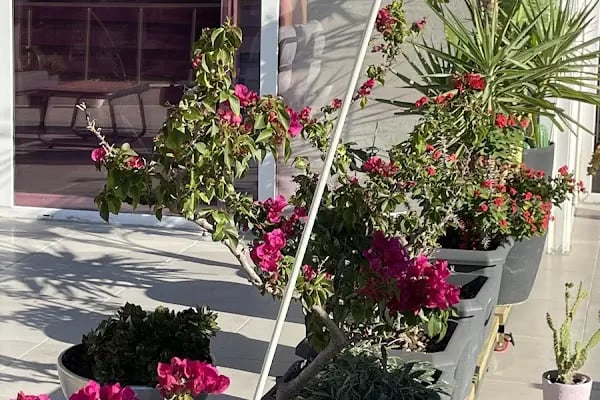 ALADAĞ DİŞ VE AĞIZ SAĞLIĞI POLİKLİNİĞİ - Resim 12