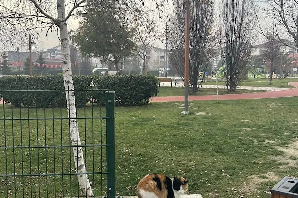 Asuva Parkı - Resim 15