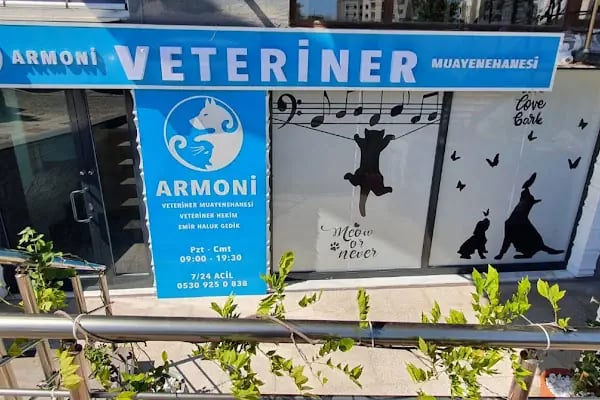 Armoni Veteriner Kliniği - Resim 9