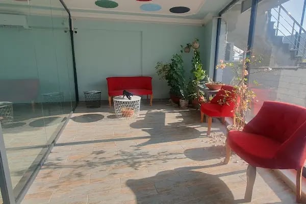 Armoni Veteriner Kliniği - Resim 8