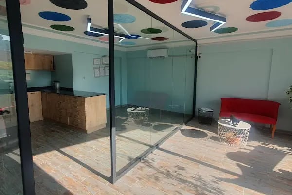 Armoni Veteriner Kliniği - Resim 4