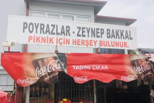 Zeynep bakkal - Resim 15