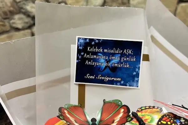 Çınar Ağacı Hediyelik & Koleksiyon - Resim 2