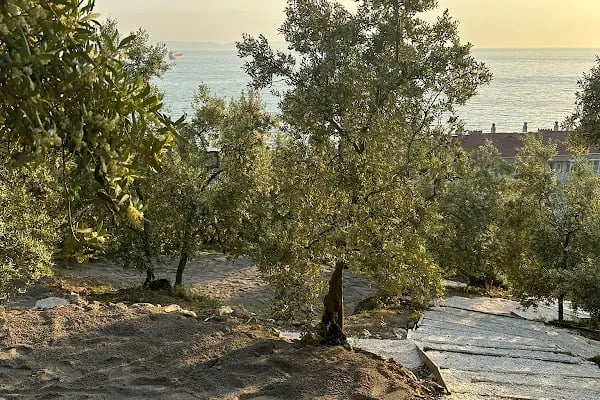 İDOL CAMPİNG - Resim 3
