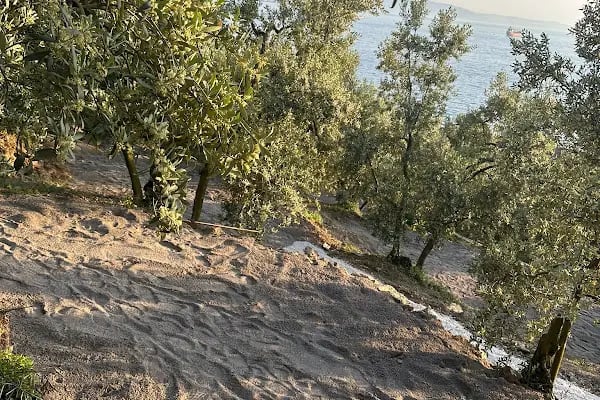 İDOL CAMPİNG - Resim 2