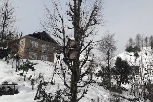 Kırgız Büyükelçiliği - Resim 4