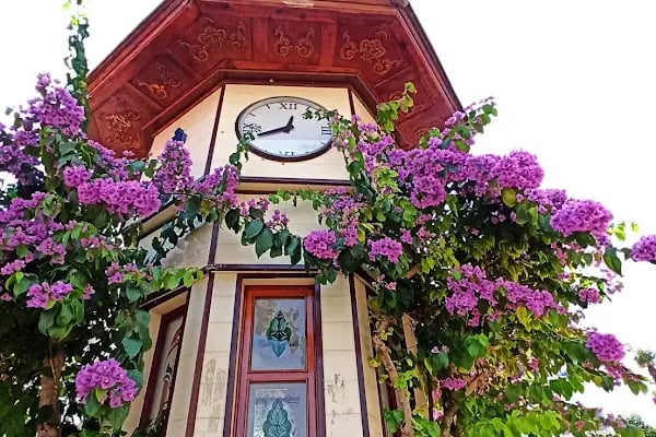 Hotel Prinkipos - Resim 8
