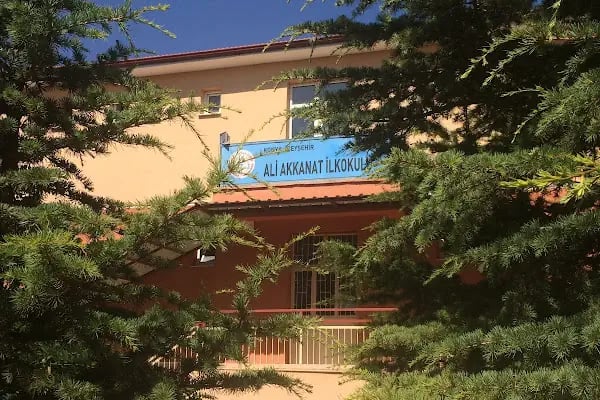 Ali Akkanat Anadolu Lisesi - Resim 3