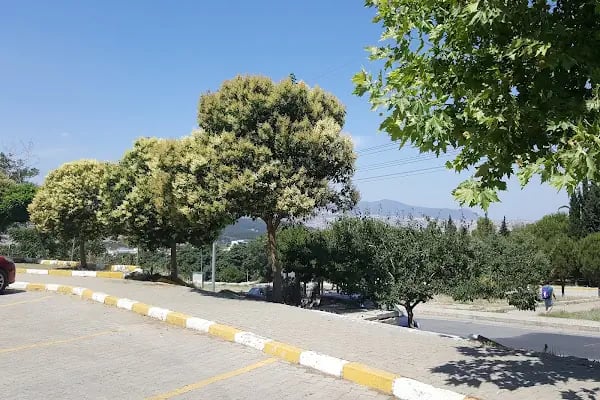 Dokuz Eylül Üniversitesi Edebiyat Fakültesi - Resim 19