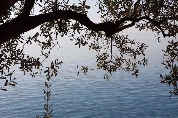 Ortakaya Sitesi - Resim 9
