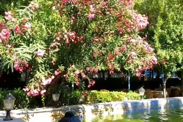 Hacı Bektaş Veli Parkı - Resim 4