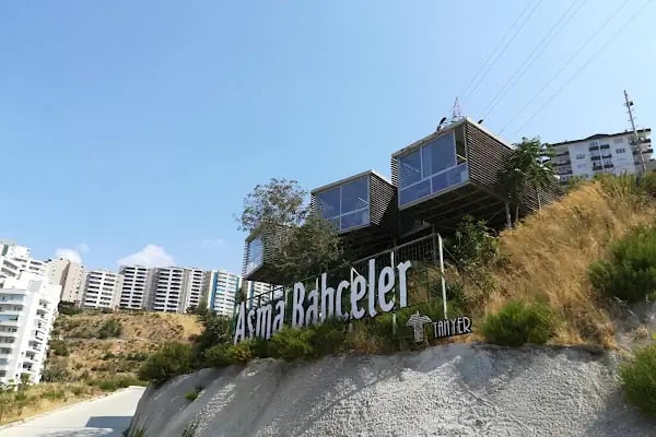 Asma Bahçeler - Resim 12